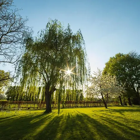 La Planche Pincon Panzió Teloché