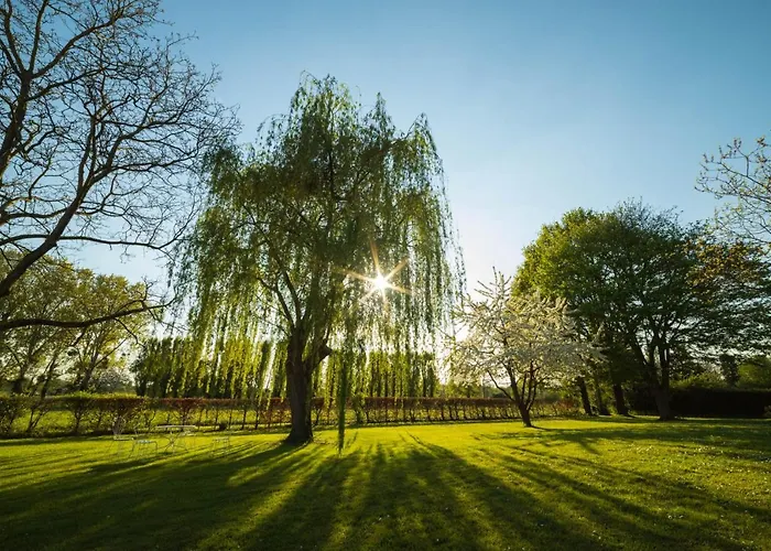La Planche Pincon Panzió Teloché